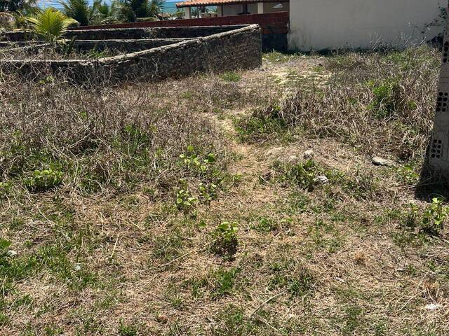 Terreno para Venda em Tibau do Sul - 5