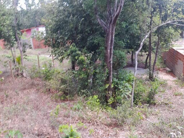 Terreno para Venda em Tibau do Sul - 4