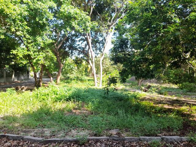 Terreno em condomínio para Venda em Tibau do Sul - 5