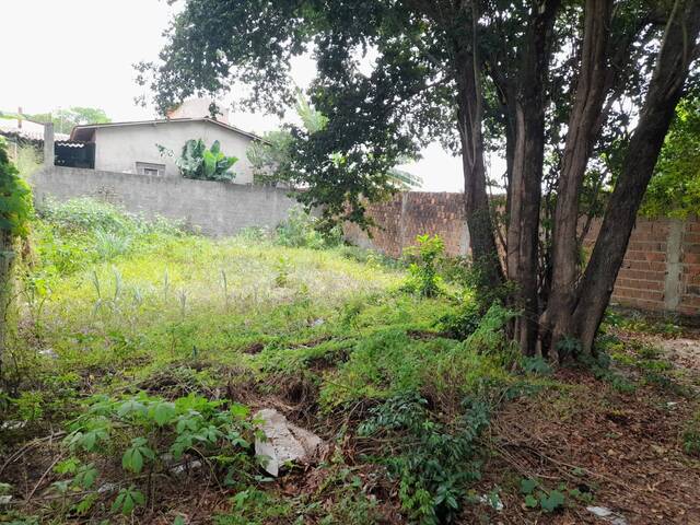 #479 - Terreno para Venda em Tibau do Sul - RN - 1