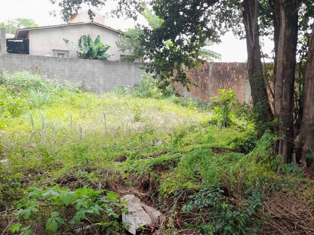 Terreno para Venda em Tibau do Sul - 4