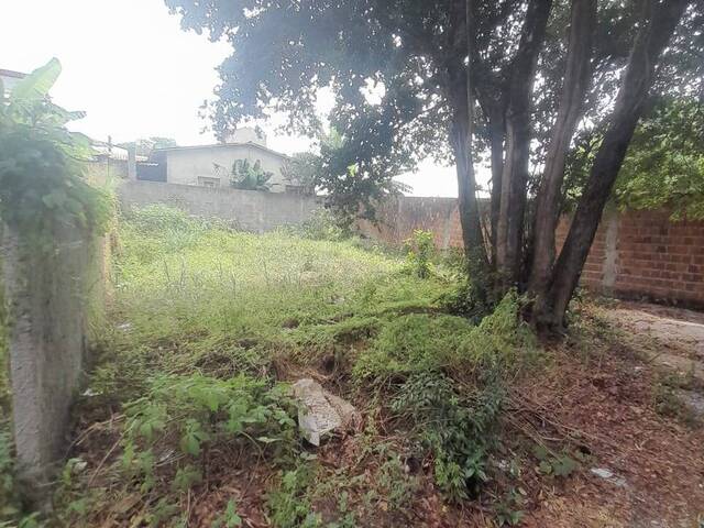 #479 - Terreno para Venda em Tibau do Sul - RN - 3