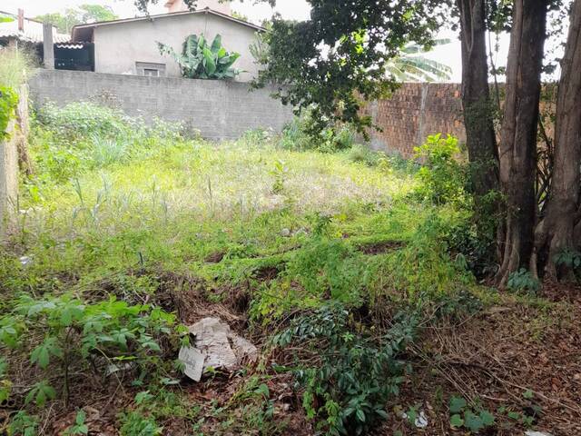 #479 - Terreno para Venda em Tibau do Sul - RN - 2