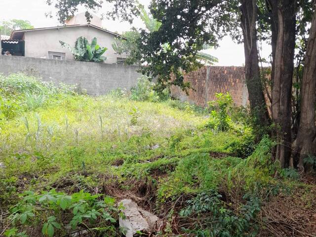 Terreno para Venda em Tibau do Sul - 5