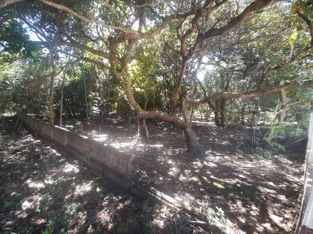#490 - Área para Venda em Tibau do Sul - RN - 2