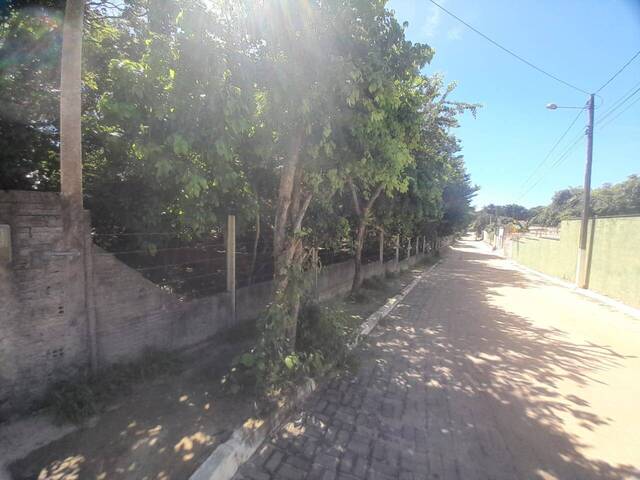 #490 - Área para Venda em Tibau do Sul - RN - 3