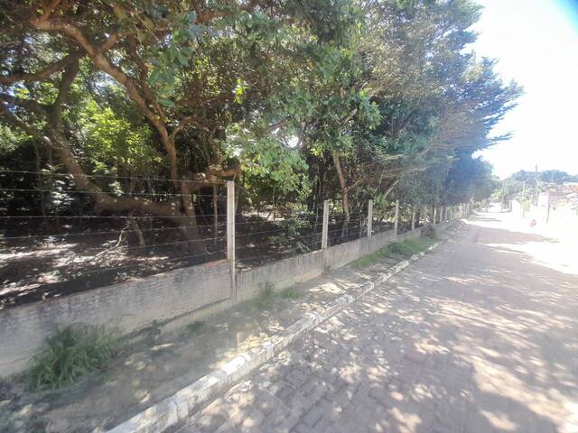 Área para Venda em Tibau do Sul - 4