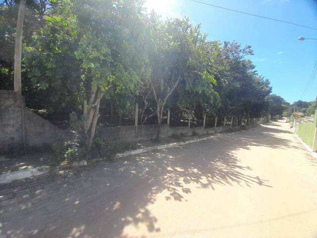 #490 - Área para Venda em Tibau do Sul - RN - 1