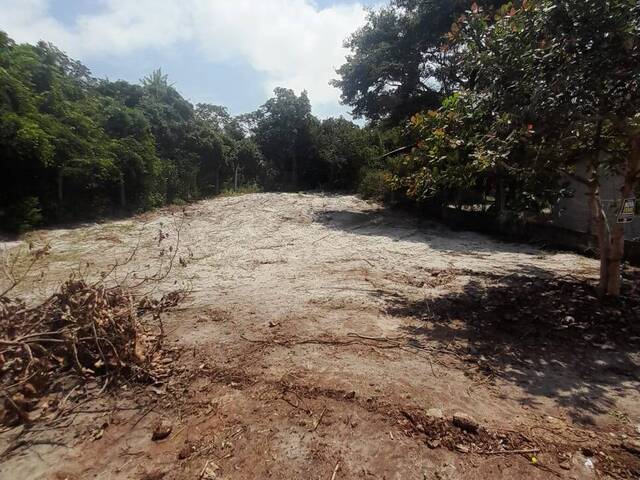 #513 - Área para Venda em Tibau do Sul - RN - 3