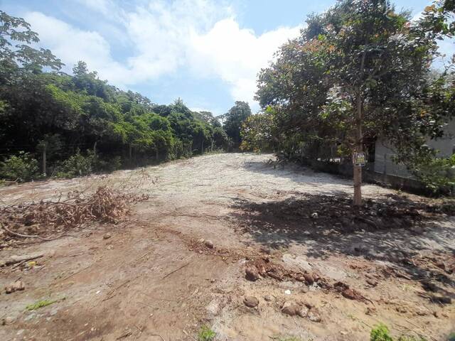Área para Venda em Tibau do Sul - 5