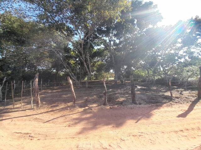 Terreno para Venda em Tibau do Sul - 4