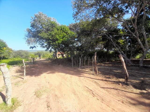 #514 - Terreno para Venda em Tibau do Sul - RN - 3