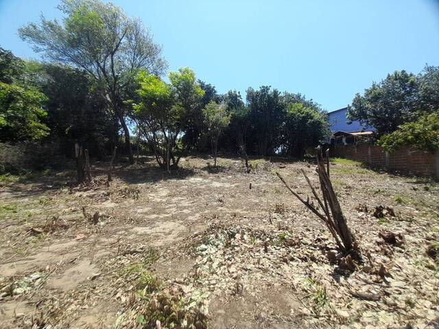 #518 - Área para Venda em Tibau do Sul - RN