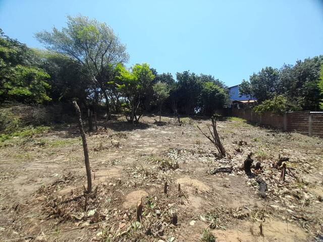 #518 - Área para Venda em Tibau do Sul - RN