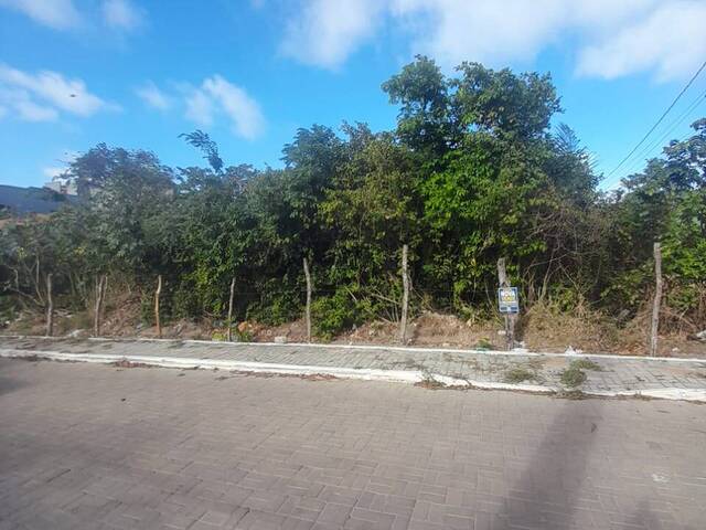 #524 - Terreno para Venda em Tibau do Sul - RN - 2