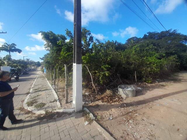 Terreno para Venda em Tibau do Sul - 5