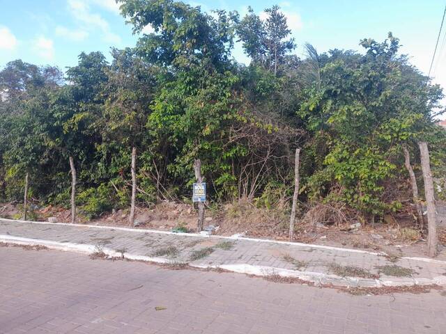 #524 - Terreno para Venda em Tibau do Sul - RN - 1