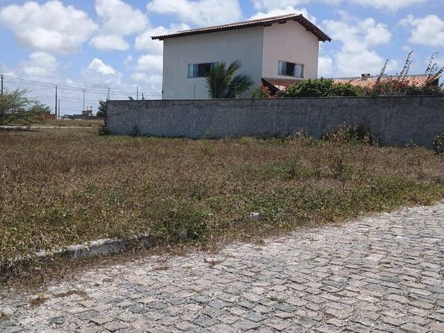 #525 - Terreno para Venda em Tibau do Sul - RN - 1