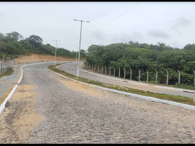 #525 - Terreno para Venda em Tibau do Sul - RN - 2