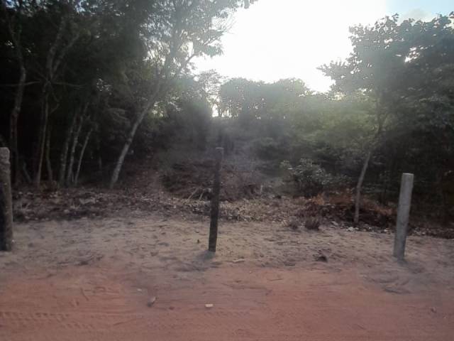 #527 - Terreno para Venda em Tibau do Sul - RN - 2