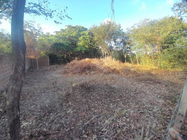Terreno para Venda em Tibau do Sul - 4