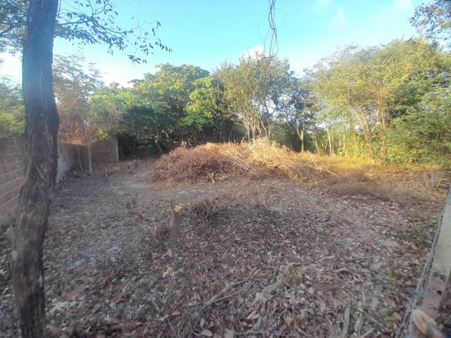 Terreno para Venda em Tibau do Sul - 5