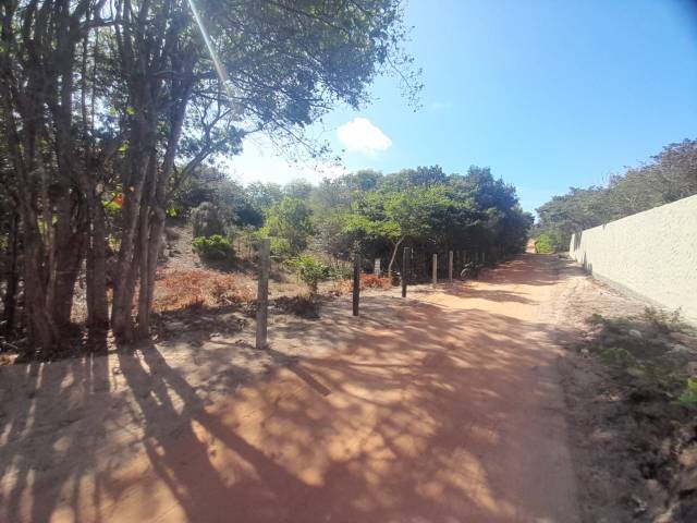 #527 - Terreno para Venda em Tibau do Sul - RN - 1