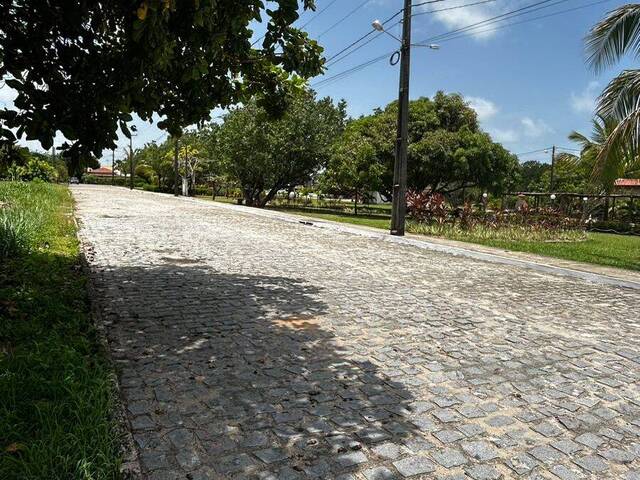 Área para Venda em Tibau do Sul - 4