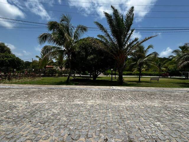 Área para Venda em Tibau do Sul - 5