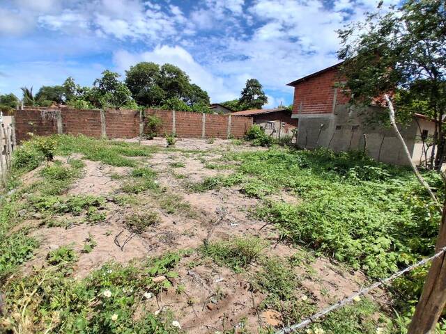 Terreno para Venda em Tibau do Sul - 2