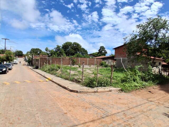 Terreno para Venda em Tibau do Sul - 3