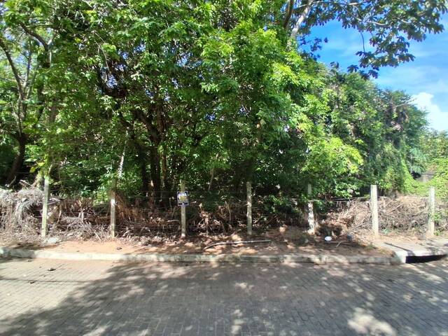 Terreno para Venda em Tibau do Sul - 2