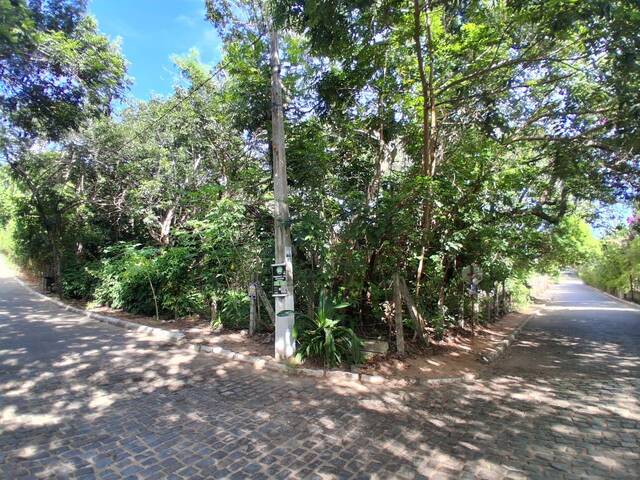 Venda em Praia da Pipa - Tibau do Sul