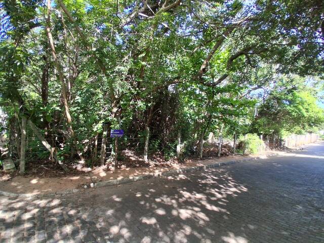 Terreno para Venda em Tibau do Sul - 3