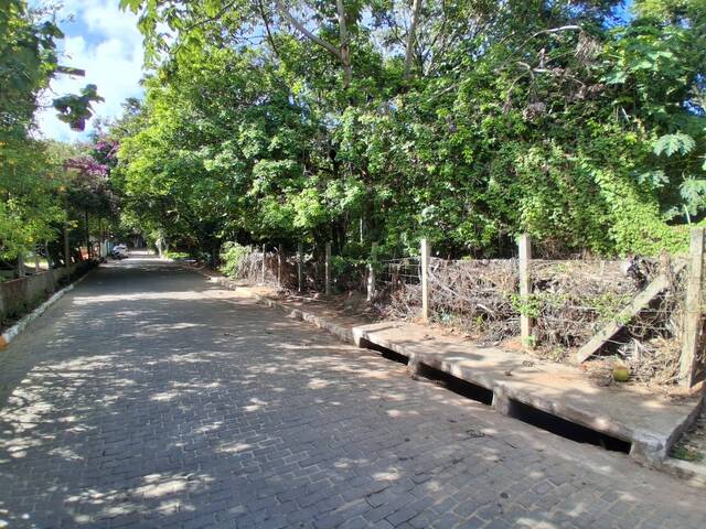 Terreno para Venda em Tibau do Sul - 5