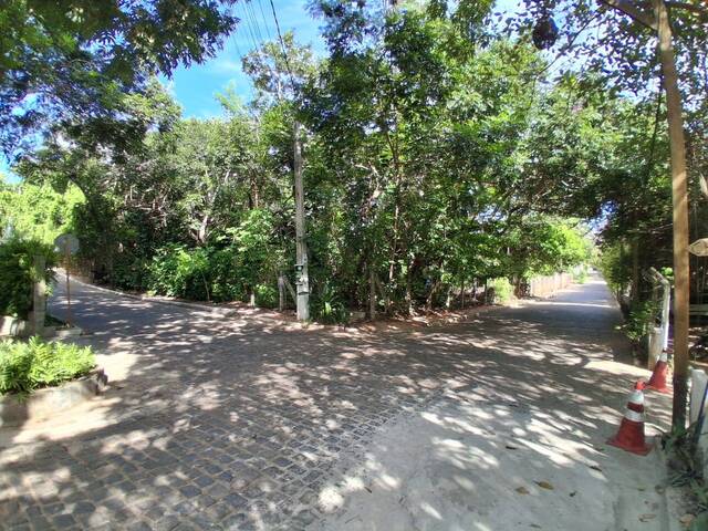 Terreno para Venda em Tibau do Sul - 4