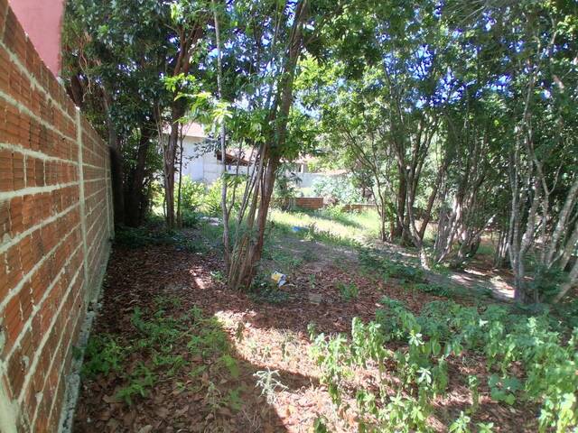 Terreno para Venda em Tibau do Sul - 2