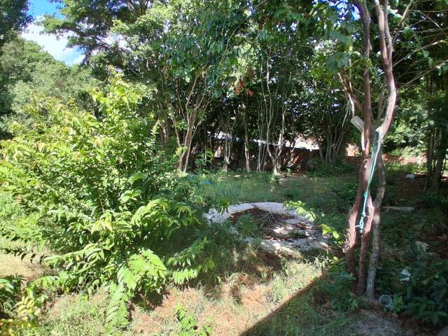 Terreno para Venda em Tibau do Sul - 5