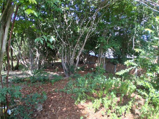 Terreno para Venda em Tibau do Sul - 3