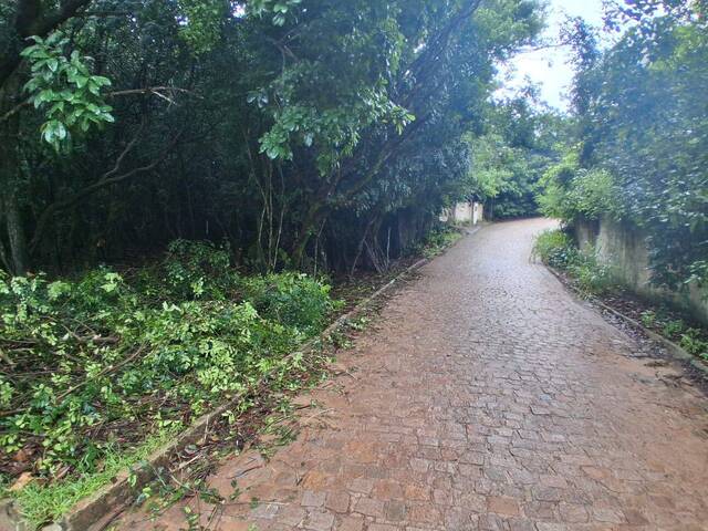 Venda em Praia da Pipa - Tibau do Sul