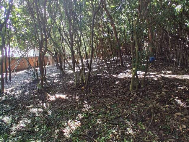 #555 - Terreno para Venda em Tibau do Sul - RN - 3