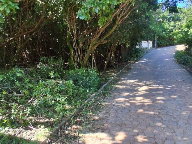 #555 - Terreno para Venda em Tibau do Sul - RN - 2