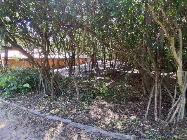 Terreno para Venda em Tibau do Sul - 4