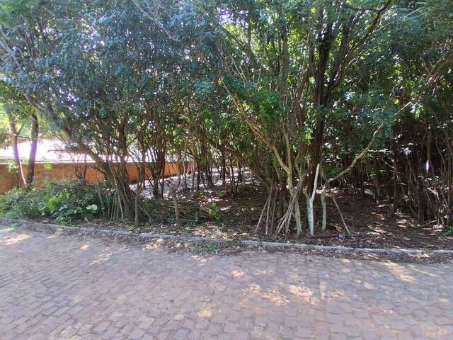 Terreno para Venda em Tibau do Sul - 5