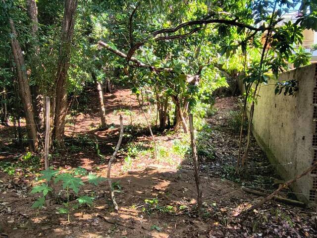 #558 - Terreno para Venda em Tibau do Sul - RN