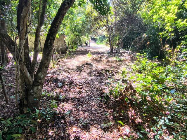 #558 - Terreno para Venda em Tibau do Sul - RN