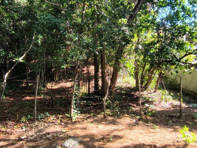 Terreno para Venda em Tibau do Sul - 5