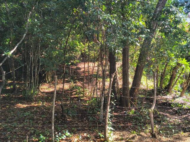 Terreno para Venda em Tibau do Sul - 4