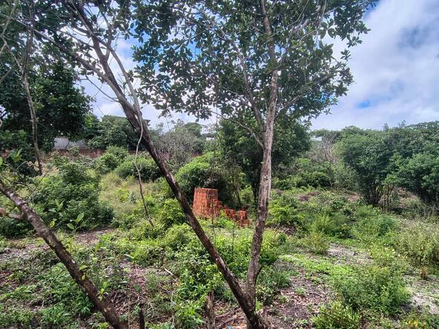 Terreno para Venda em Tibau do Sul - 2
