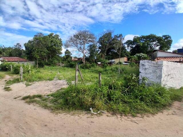 Terreno para Venda em Tibau do Sul - 2